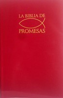 Biblia de promesas Rústica vino