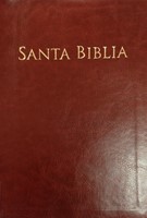 Biblia RVR 1960 letra grande