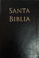 Biblia RVR 1960 letra grande negro