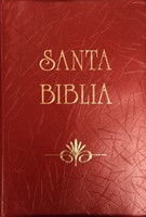 Santa Biblia RVR 1960 Letra grande fucsia