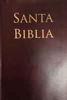 Biblia RVR 1960 letra grande café
