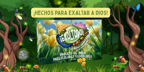 El Paquete de inicio incluye todos los elementos que necesitarás para comenzar a planificar tu Escuela Bíblica de Vacaciones (EBV).