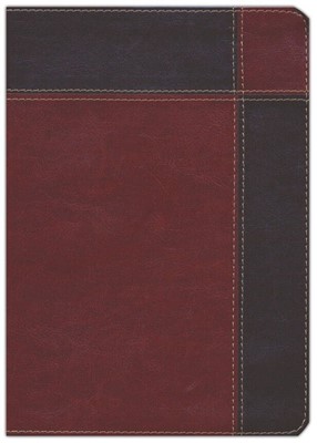 RVR60 Biblia de Estudio Ryrie Ampliada con índice (Imitación Piel) [Biblia de Estudio]