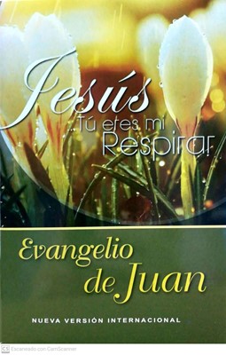 NVI Evangelio de Juan