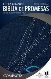 RVR60 de Promesas Compacta Jean (Jean) [Biblia]
