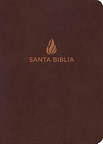 Biblia RVR60 Compacta Letra Grande