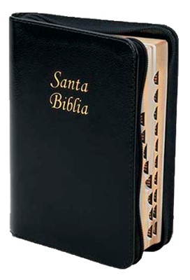 Biblia RVR60 Acolchada Negra