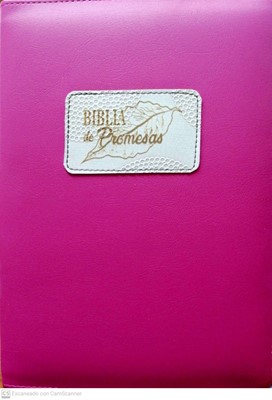 RVR60 Promesas Letra Grande (Rústica) [Biblia]