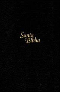 Santa Biblia NTV, Edición personal, letra grande (Tapa Dura) [Biblia]
