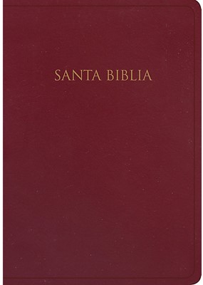 RVR60 Biblia para Regalos y Premios (Imitación Piel) [Biblia]