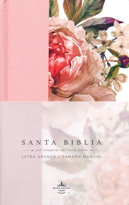 RVR60 Tierra Santa Tamaño Manual Letra Grande (Tapa Dura) [Biblia]