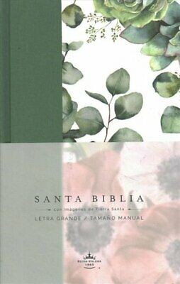 RVR60 Biblia Tierra Santa Tamaño Manual Letra Grande (Tapa Dura) [Biblia]