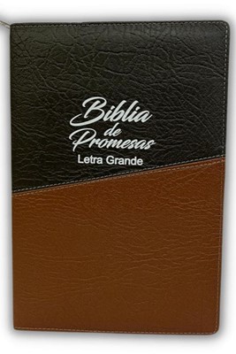 RVR60 Biblia de Promesas Letra Gigante Forrada con Cierre (Rústica) [Biblia]