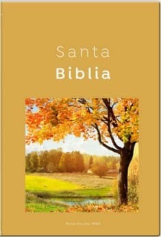 RVR60 Biblia Económica Tamaño Manual - Naranja Otoñal