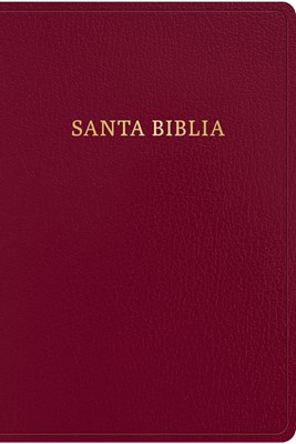 RVR 1960 Biblia Letra Gigante