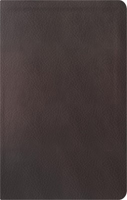 NBLA Biblia de Estudio de La Reforma Condensada