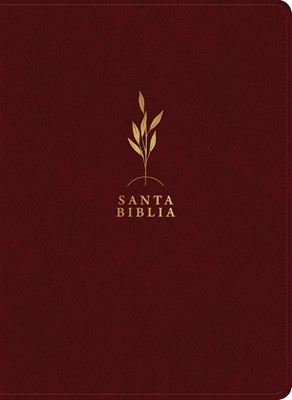 RVR60 Biblia de Estudio Diario Vivir Letra Grande