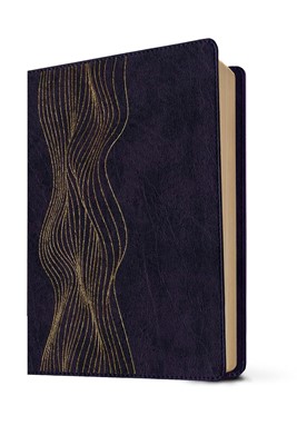 RVR60 Biblia de Estudio Diario Vivir