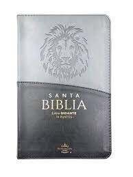 RVR60 Biblia Tamaño Manual Letra Gigante con Índice y Cierre León
