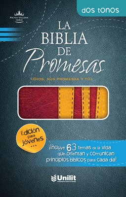 Biblia de Promesas RVR60 (Imitación Piel) [Biblia]