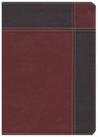 RVR60 Biblia de Estudio Ryrie Ampliada con índice (Imitación Piel) [Biblia de Estudio]