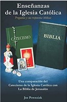 Enseñanzas de la Iglesia Católica (Rústica) [Libro]