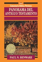 Panorama del Antiguo Testamento (Rústica) [Libro]