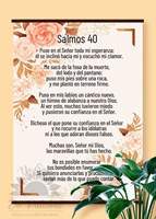 Afiche Grande Ovejita (Cartulina)