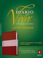 NTV Diario Vivir Letra Grande (Imitación Piel) [Biblia de Estudio]