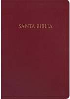 RVR60 Biblia para Regalos y Premios (Imitación Piel) [Biblia]