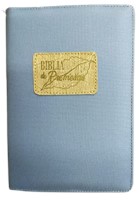 RVR60 de Promesas Manual (Rústica) [Biblia]