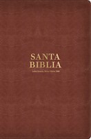 RVR60 Tamaño Manual Letra Grande (Imitación Piel) [Biblia]