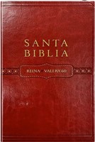 RVR60 Tamaño Manual (Imitación Piel) [Biblia]