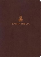 Biblia NVI Compacta Letra Grande (Imitación Piel) [Biblia]