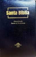 RVR60 Biblia Ultrafina Fuente de Bendiciones (Imitación Piel) [Biblia]