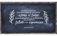 Cuadro Canvas Gigante - Planes (Lienzo) [Miscelánea]