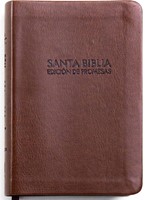RVR60 Biblia de Promesas Compacta Tamaño Bolsillo (Imitación Piel) [Biblia]