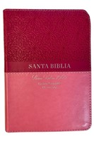 RVR60 Biblia Bifloral Tamaño Portátil Letra Grande con Índice y Cierre (Imitación Piel) [Biblia]