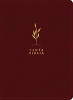RVR60 Biblia de Estudio Diario Vivir Letra Grande (Imitación Piel)