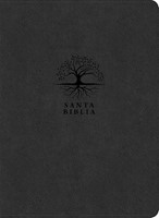 RVR60 Biblia de Estudio Diario Vivir Letra Grande (Imitación Piel)