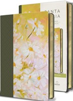 RVR60 Biblia Ultrafina Tamaño Manual Letra Grande (Imitación Piel)