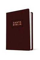 NTV Biblia Edición Premio Y Regalo (Imitación Piel)