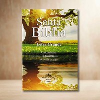 RVR60 Biblia Económica Letra Grande (Rústica)