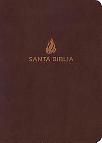 Biblia RVR60 Compacta Letra Grande