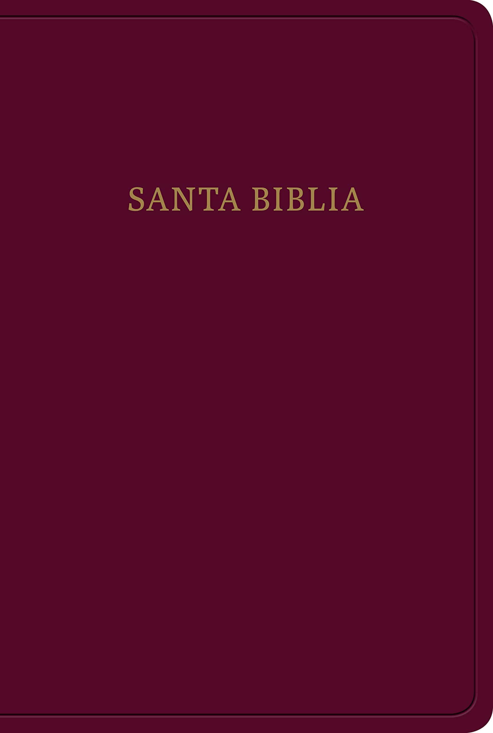 Biblia RVR60 Manual Letra Grande