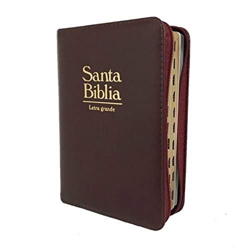 Biblia RVR60 Vino Acolchada