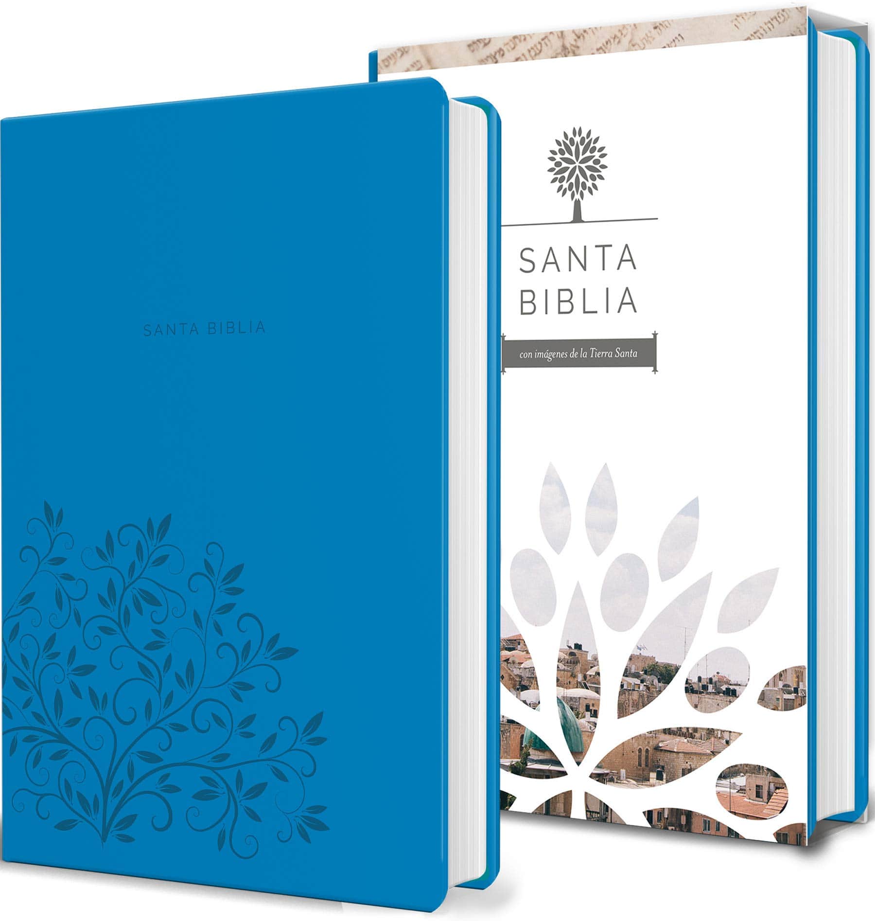 biblia ntv descargar gratis pdf