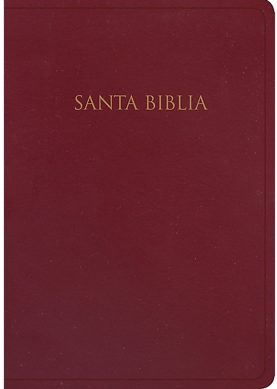 RVR60 Biblia para Regalos y Premios