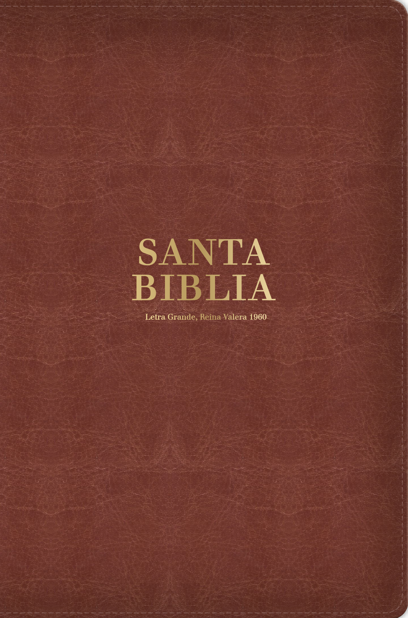 RVR60 Biblia Tamaño Manual Letra Grande