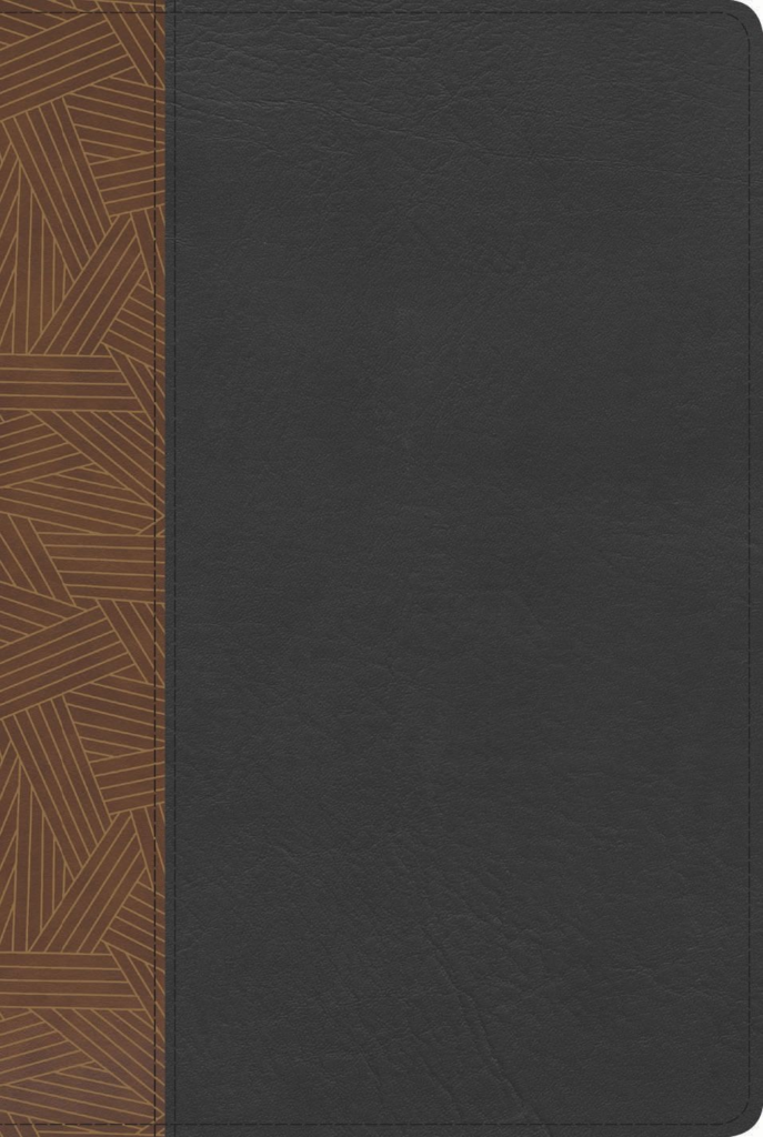 RVR60 Biblia Arcoiris con Índice